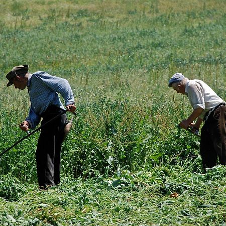 Turisme Rural Lo Palle De Cal Bosch Llagunes Экстерьер фото