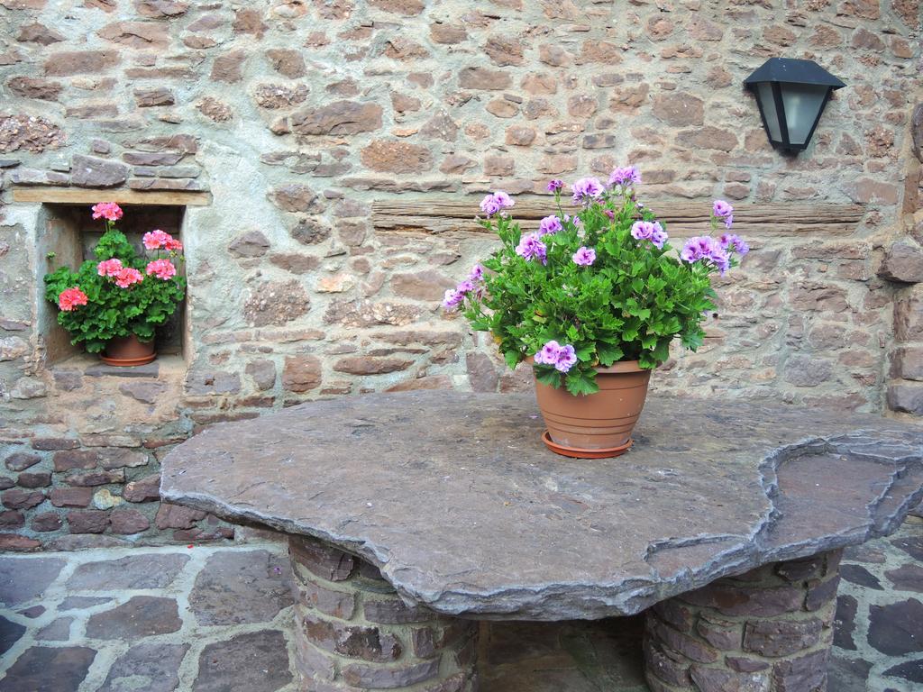 Turisme Rural Lo Palle De Cal Bosch Llagunes Экстерьер фото