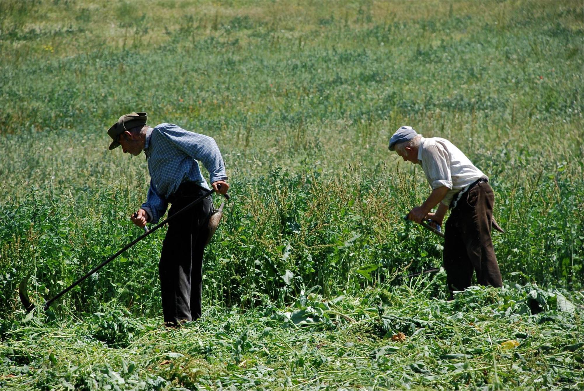 Turisme Rural Lo Palle De Cal Bosch Llagunes Экстерьер фото