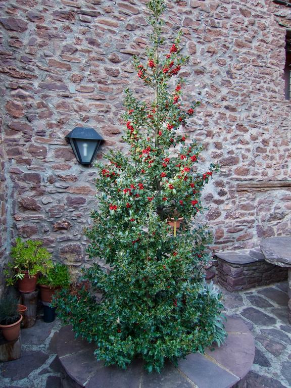 Turisme Rural Lo Palle De Cal Bosch Llagunes Экстерьер фото