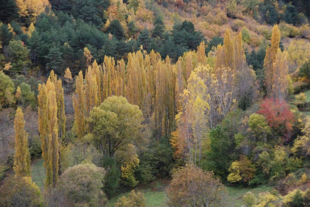 Turisme Rural Lo Palle De Cal Bosch Llagunes Экстерьер фото