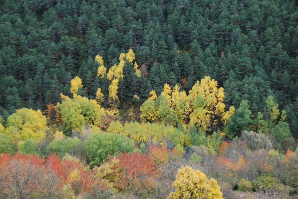 Turisme Rural Lo Palle De Cal Bosch Llagunes Экстерьер фото
