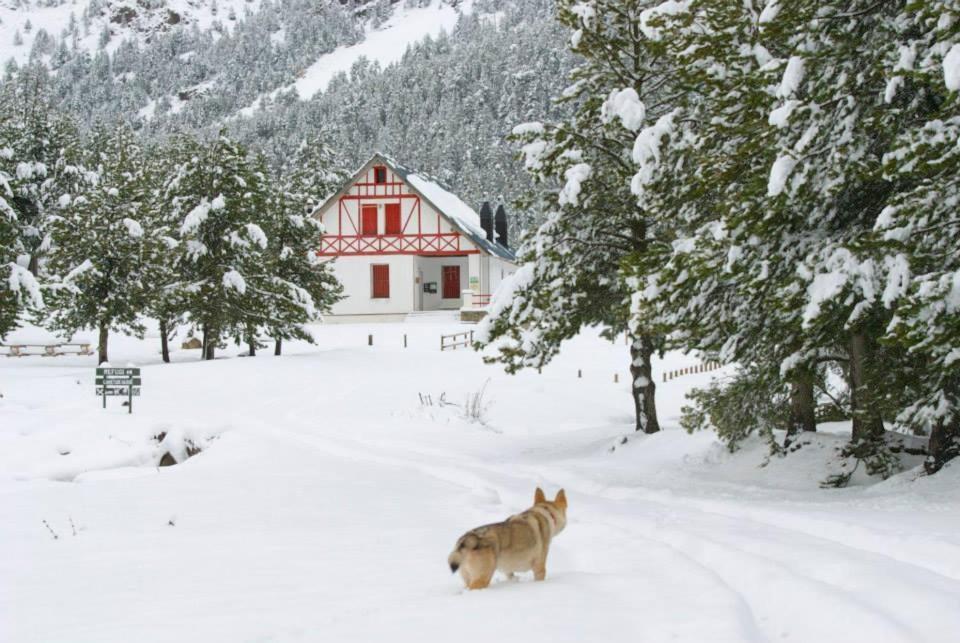 Turisme Rural Lo Palle De Cal Bosch Llagunes Экстерьер фото